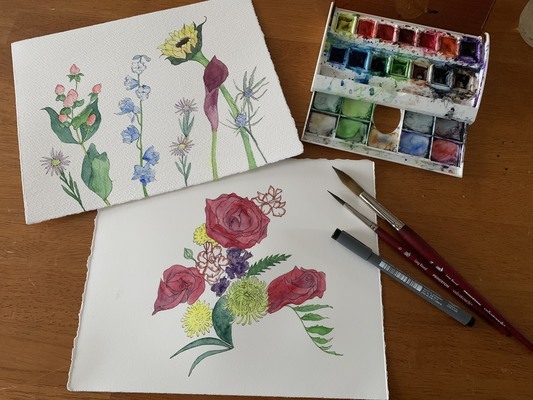 Drawing and painting nature can be healing as well. MARY RICHMOND ILLUSTRATION