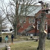 Iconic library tree is cut down. TIM WOOD PHOTO