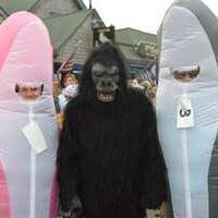 The Carnival Caper Gorilla poses with a couple of sharks before the race.