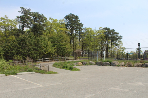 The section of trees to the left side of The Family Pantry garden entrance is where a new parking lot would be located. FILE PHOTO
