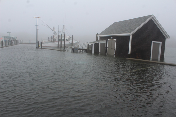 High tides and storm surge inundated the Wychmere Harbor Pier and town shellfish laboratory. WILLIAM F. GALVIN PHOTO
